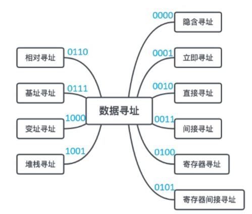 計算機(jī)組成與體系結(jié)構(gòu) 體系結(jié)構(gòu)分類與系統(tǒng)服務(wù)概述